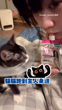 【妳吃我的肉泥！】貓見奴才享用果凍包直接氣得抗議XD
