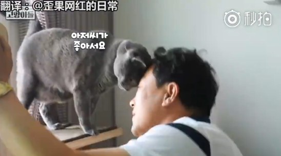 ▲厭貓老爸。（圖／翻攝自微博）