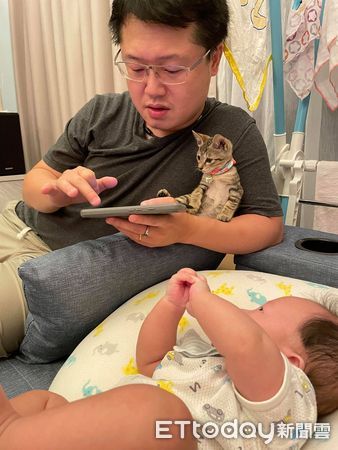 ▲虎斑來家3天收服爸！「背後抱抱」陪萌娃睡覺　見他哭鬧秒關心。（圖／網友珺珺提供）