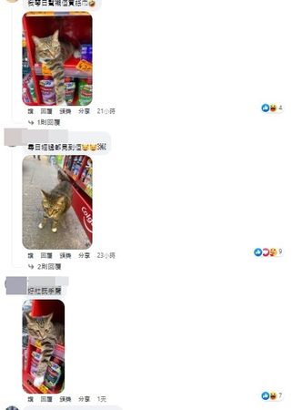 ▲▼多少罐罐才能買？她逛街遇「活體招財貓」萌暈　PO文釣出一排粉絲。（圖／網友黎小姐提供）