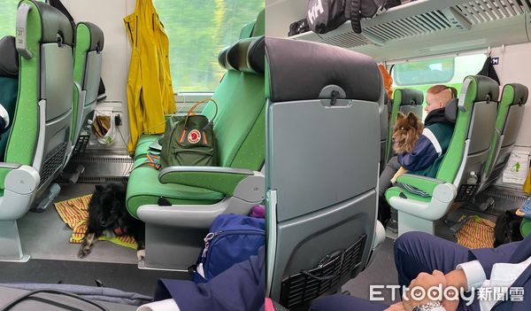 ▲▼火車「寵物車廂」坐10狗3貓！小萌貓歪頭來搭訕　網羨：好想搭看看。（圖／Mustikka 藍莓福春粉專授權提供）