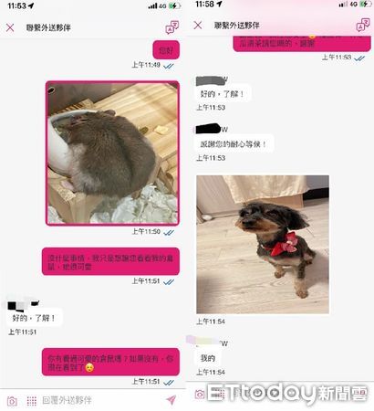 ▲飼主家中的三線鼠太可愛，忍不住向外送員炫耀，結果得到超萌的回應。（圖／網友Queena提供，請勿隨意翻拍，以免侵權，下同）