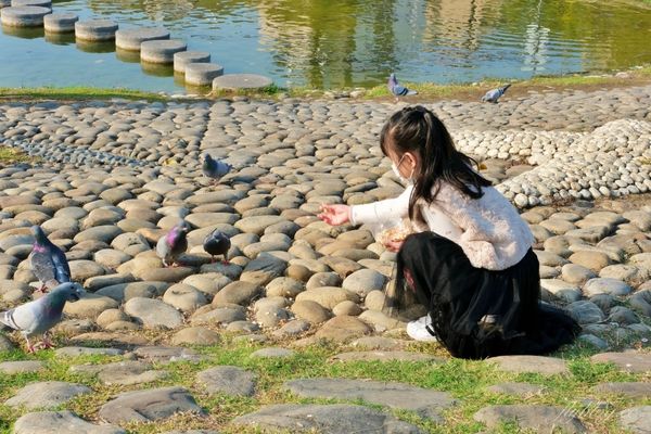 ▲▼ 大坑景點（圖／飛天璇的口袋提供）