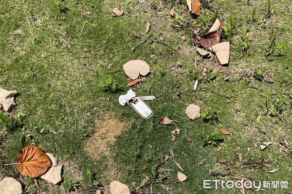 ▲找嘸車鑰匙！比熊犬踏上草皮「甩頭挖呀挖」奇蹟發生　媽細看樂壞。（圖／飼主Jie Ru Tu提供）