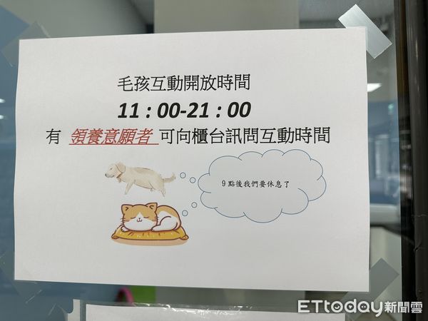 ▲本想幫賓士貓找家！店員回「如果拍得到臉的話...」　她一看笑了。（圖／網友Jamie Lin提供）