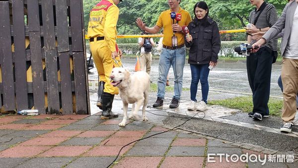 ▲▼花蓮強震砂卡礑找到第３具遺體的搜救犬Roger。（圖／記者黃彥傑攝）