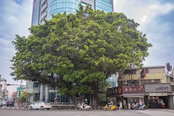 ▲▼南都碗粿 生意好到兩間店開在對面，40年碗粿老店藏身大榕樹下。（圖／部落客美熊提供）