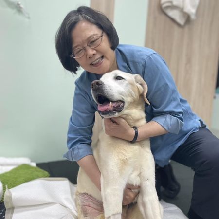 ▲▼蔡英文幫16歲黑拉拉Maru慶生　心疼愛犬不舒服許願「痛痛飛走」。（圖／翻攝自蔡英文臉書）