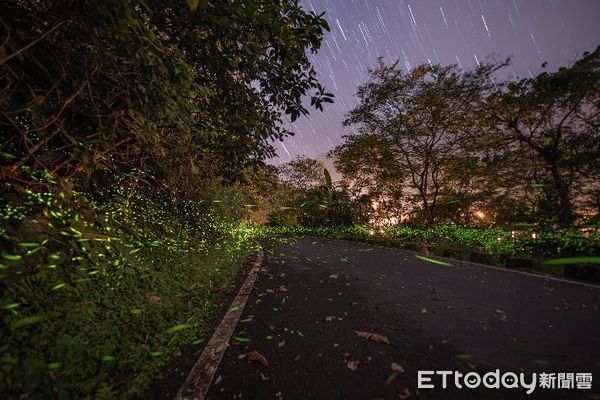 ▲花蓮鯉魚潭風景區。（圖／縱管處提供，下同）