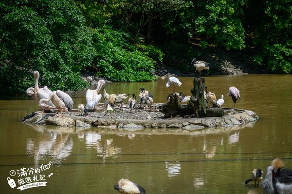 ▲▼沖繩名護自然動植物公園。（圖／部落客滿分的旅遊札記授權提供）
