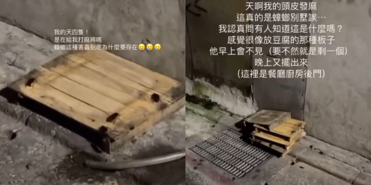 ▲▼             。（圖／網友提供，請勿隨意翻拍，以免侵權。）